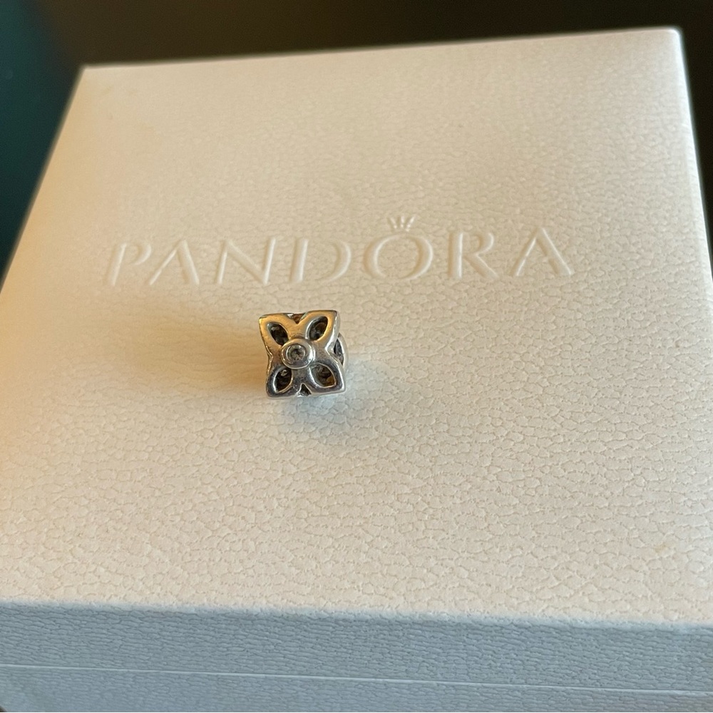 Pandora Charm